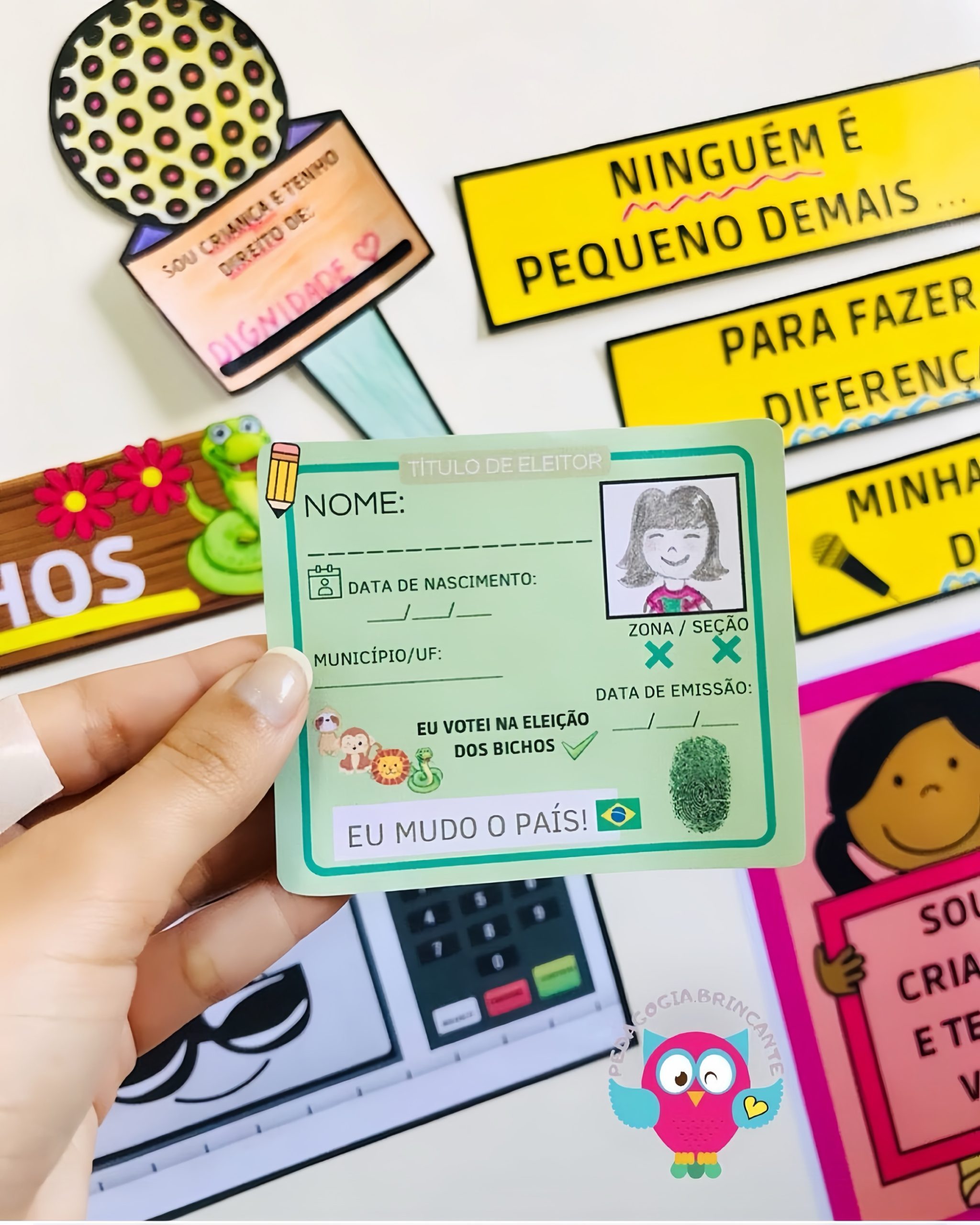 Projeto Eleições-Política-Cidadania - Imagem 10