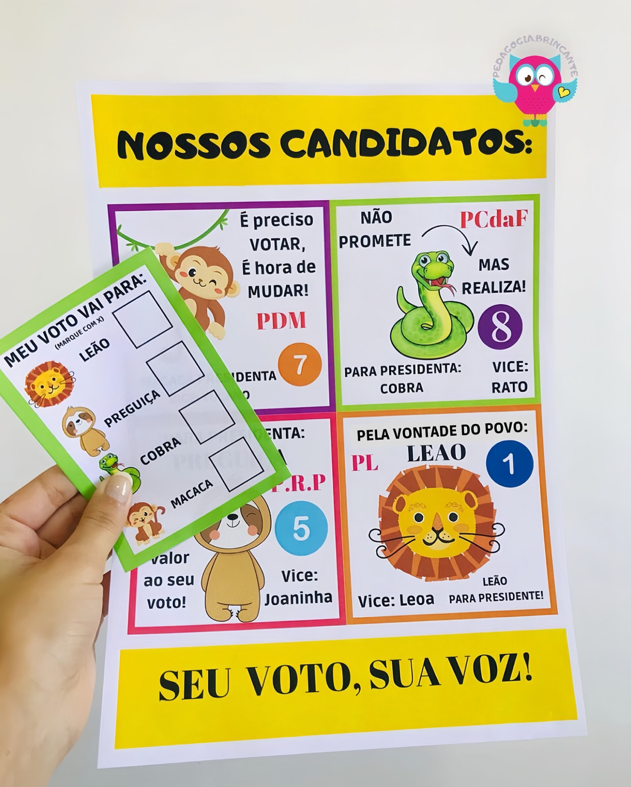 Projeto Eleições-Política-Cidadania - Imagem 8