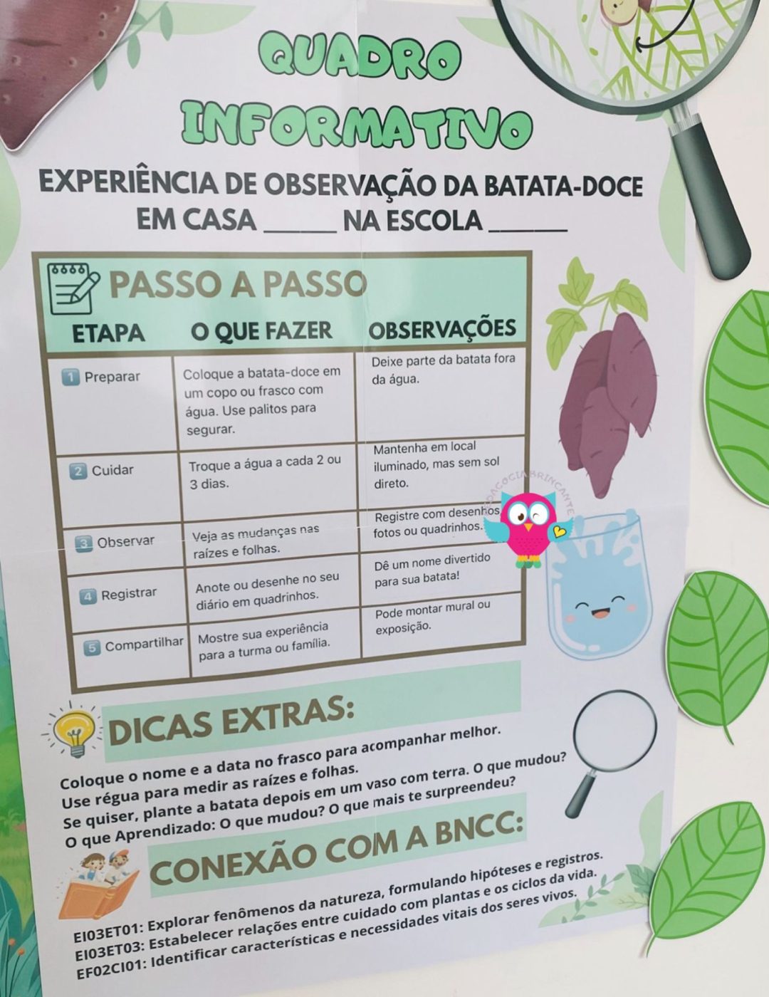 🌱✨ Projeto Batata-Doce: Brotinhos de observação e descoberta! - Imagem 6
