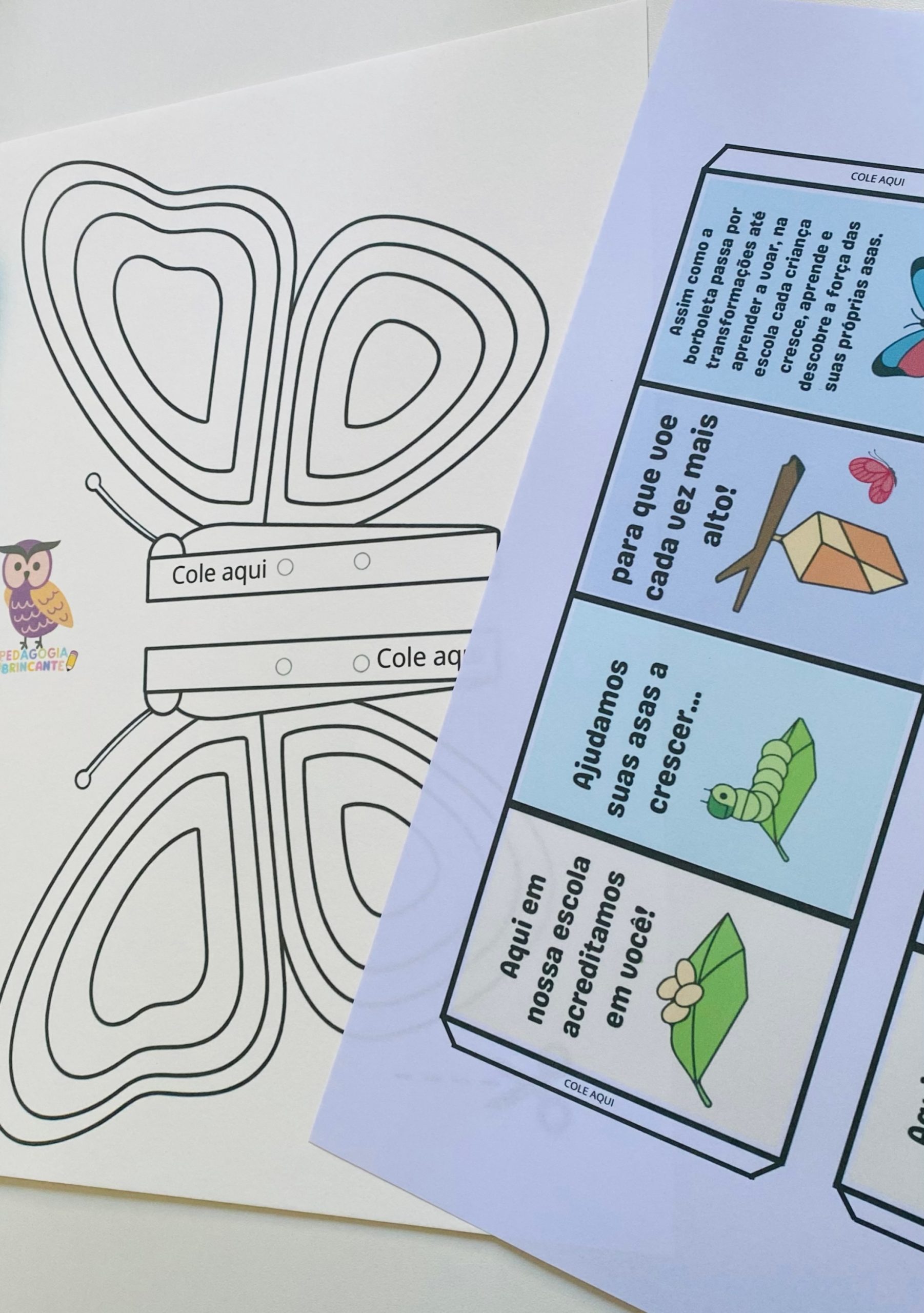 Borboletas - Tema Escola - Imagem 3
