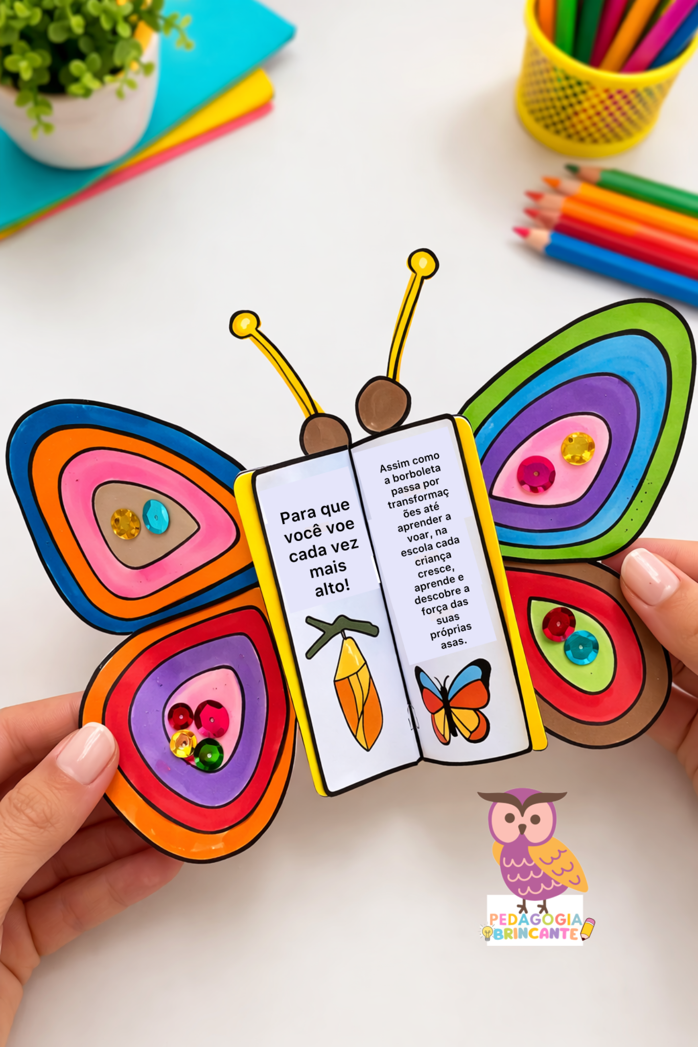 Borboletas - Tema Escola - Imagem 7