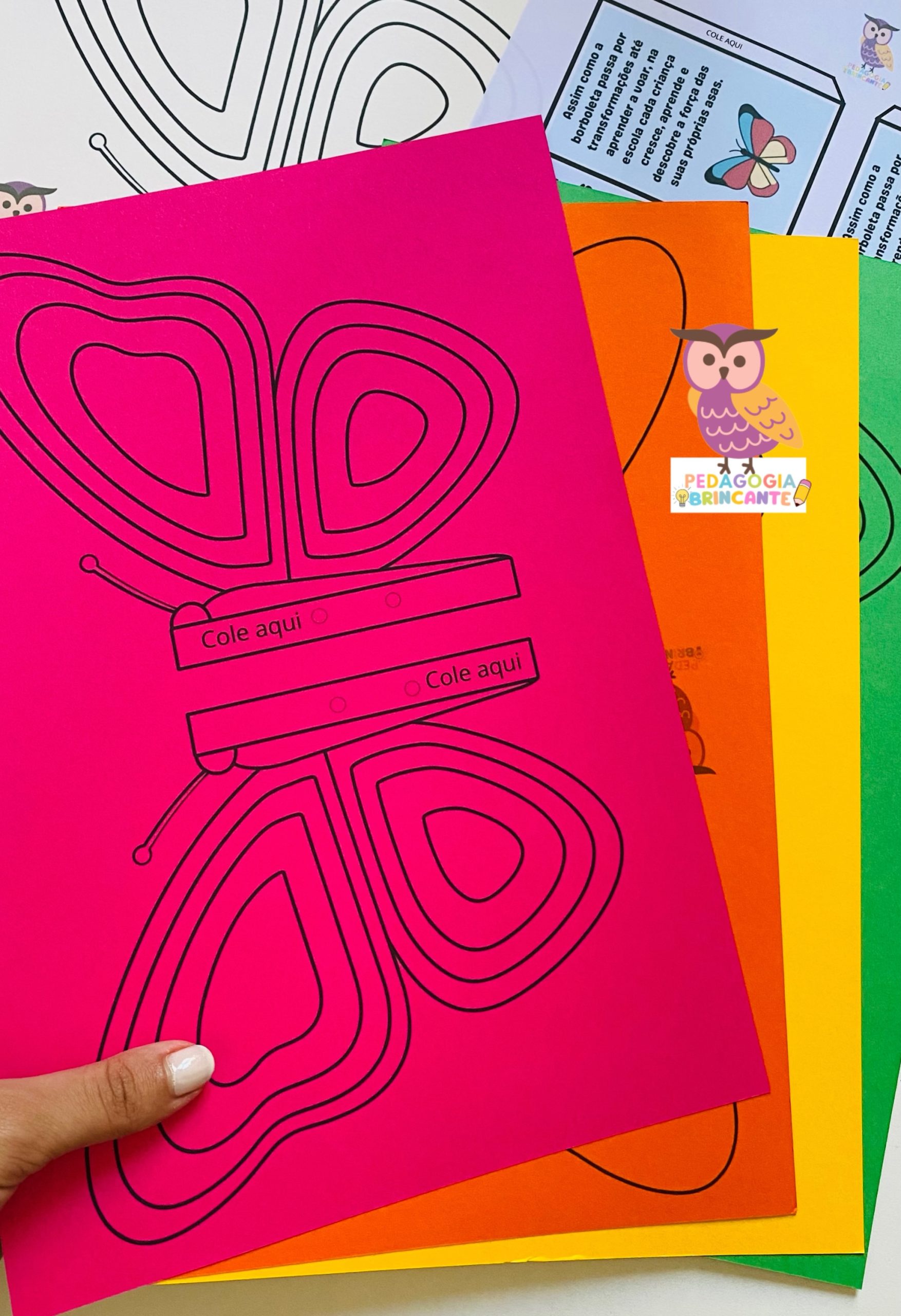 Borboletas - Tema Escola - Imagem 2